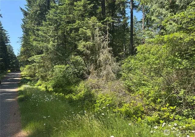 Photo 3 of Sale Pending at 11409 & 11413 Hillcrest Dr, Anderson Island, WA 98303 | MLS# NWM2532387 | Listing updated on 2026-09-29