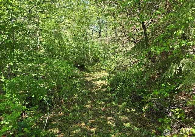 Photo 3 of Land for sale at 256 Walker Rd, Hoquiam, WA 98550 | MLS# NWM2532407 | Listing updated on 2026-09-21