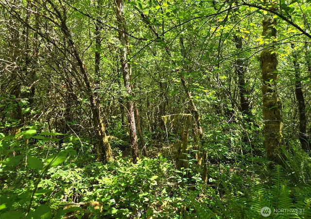 Photo 3 of Land for sale at 256 Walker Rd, Hoquiam, WA 98550 | MLS# NWM2532407 | Listing updated on 2026-09-21