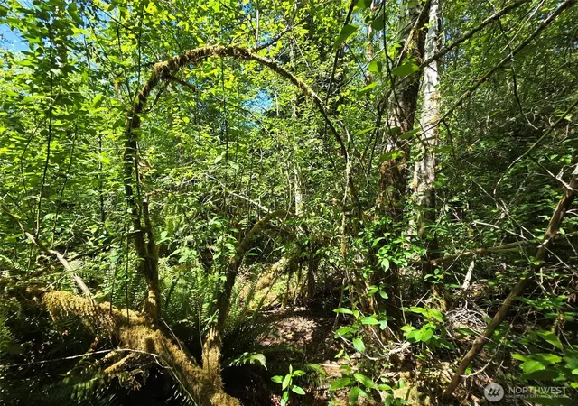 Photo 4 of Land for sale at 256 Walker Rd, Hoquiam, WA 98550 | MLS# NWM2532407 | Listing updated on 2026-09-21