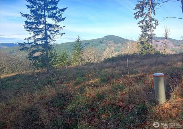Photo 2 of Land for sale at 167 Wagner Rd, Kelso, WA 98626 | MLS# NWM2532517 | Listing updated on 2026-09-21