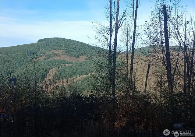 Photo 3 of Land for sale at 167 Wagner Rd, Kelso, WA 98626 | MLS# NWM2532517 | Listing updated on 2026-09-21