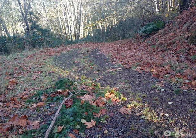 Photo 3 of Land for sale at 167 Wagner Rd, Kelso, WA 98626 | MLS# NWM2532517 | Listing updated on 2026-09-21