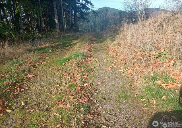 Photo 4 of Land for sale at 167 Wagner Rd, Kelso, WA 98626 | MLS# NWM2532517 | Listing updated on 2026-09-21
