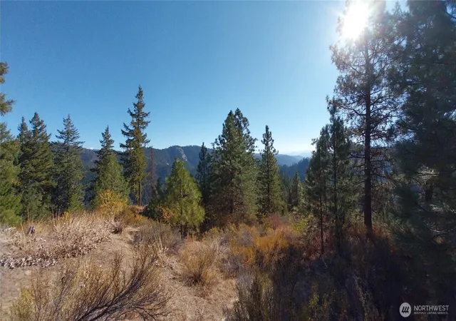 Photo 4 of House for sale at 11685 Sunitsch Cyn Rd, Leavenworth, WA 98826 | MLS# NWM2532557 | Listing updated on 2026-09-21