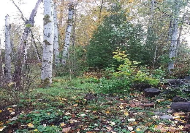 Photo 3 of Land for sale at 539 148th Street Ne, Bellevue, WA 98007 | MLS# NWM2532708 | Listing updated on 2026-09-21