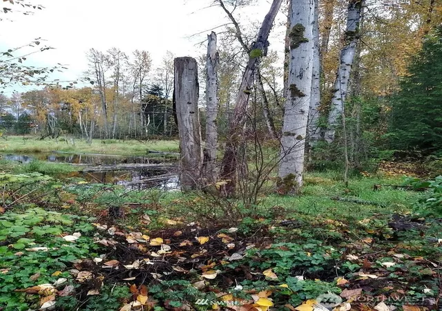 Photo 3 of Land for sale at 539 148th Street NE, Bellevue, WA 98007 | MLS# NWM2532708 | Listing updated on 2026-09-21