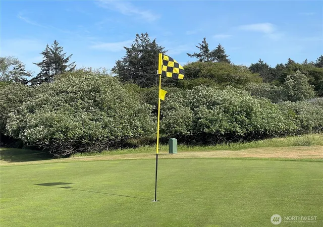 Photo 3 of Land for sale at 301 Octopus Ave NE, Ocean Shores, WA 98569 | MLS# NWM2532804 | Listing updated on 2026-09-21