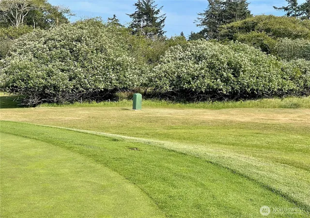 Photo 4 of Land for sale at 301 Octopus Ave NE, Ocean Shores, WA 98569 | MLS# NWM2532804 | Listing updated on 2026-09-21