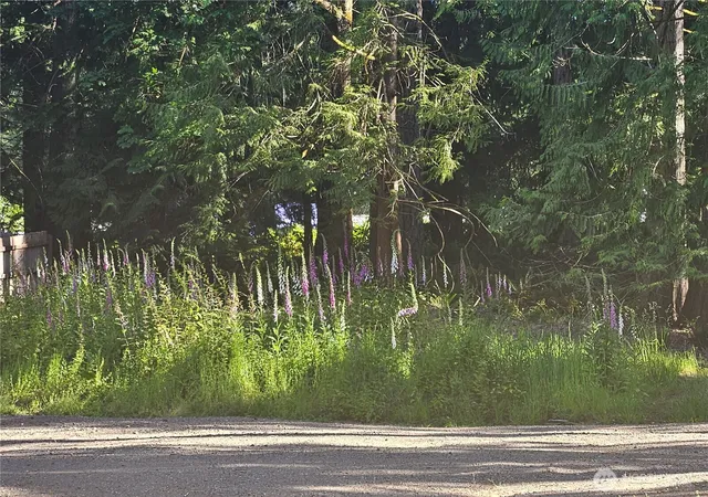 Photo 2 of Land for sale at 51 Ames Ln, Port Ludlow, WA 98365 | MLS# NWM2532866 | Listing updated on 2026-09-19