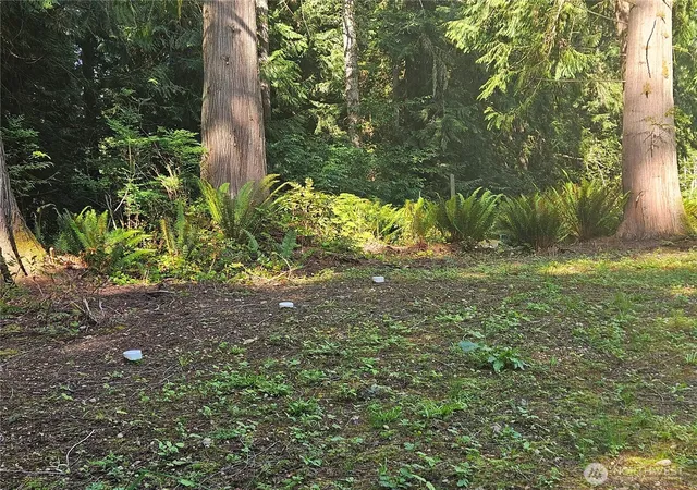 Photo 3 of Land for sale at 51 Ames Ln, Port Ludlow, WA 98365 | MLS# NWM2532866 | Listing updated on 2026-09-19