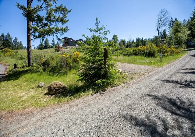 Photo 3 of Land for sale at 113 Hellem Dr, Packwood, WA 98361 | MLS# NWM2532873 | Listing updated on 2026-10-01