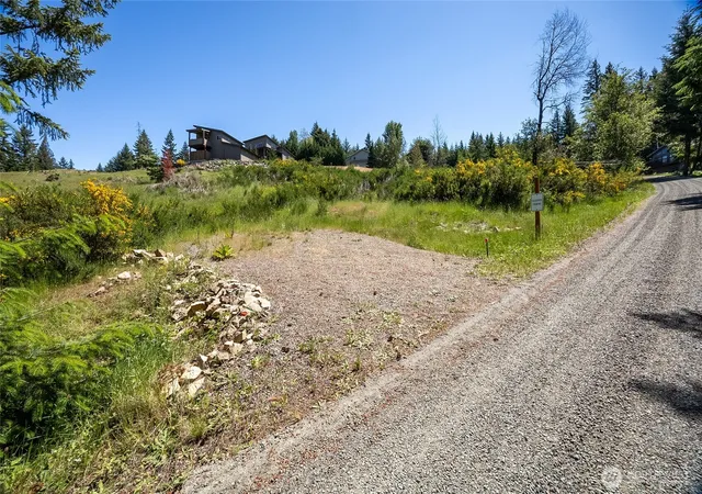 Photo 3 of Land for sale at 113 Hellem Dr, Packwood, WA 98361 | MLS# NWM2532873 | Listing updated on 2026-10-01