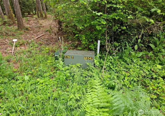 Photo 2 of Land for sale at 870 E Wilson Way, Grapeview, WA 98546 | MLS# NWM2533041 | Listing updated on 2026-09-21