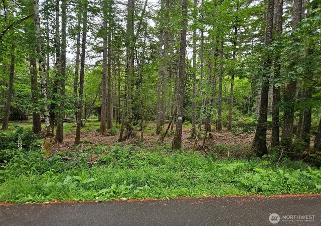 Photo 1 of Land for sale at 870 E Wilson Way, Grapeview, WA 98546 | MLS# NWM2533041 | Listing updated on 2026-09-21