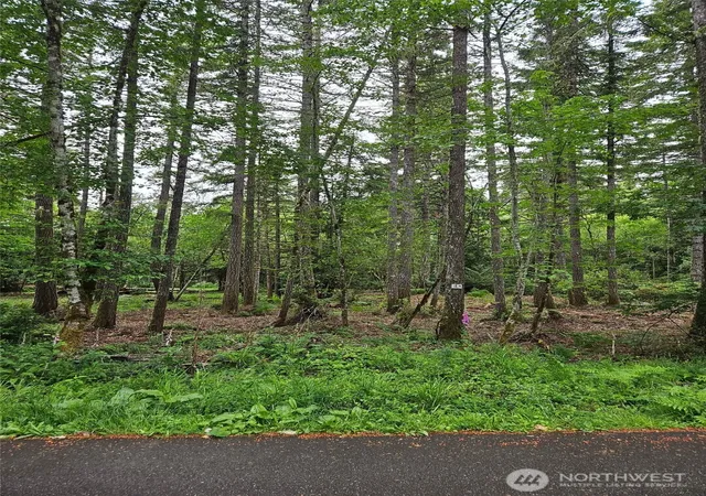 Photo 3 of Land for sale at 870 E Wilson Way, Grapeview, WA 98546 | MLS# NWM2533041 | Listing updated on 2026-09-21