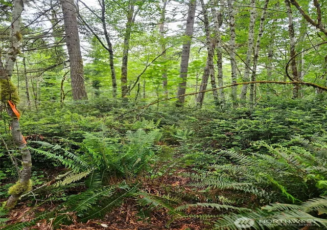 Photo 3 of Land for sale at 870 E Wilson Way, Grapeview, WA 98546 | MLS# NWM2533041 | Listing updated on 2026-09-21