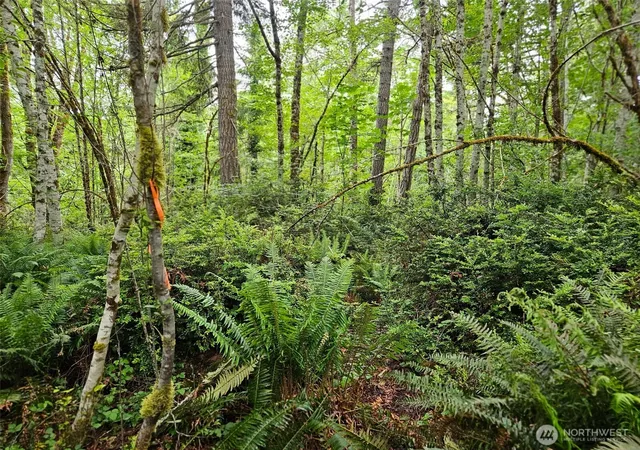 Photo 4 of Land for sale at 870 E Wilson Way, Grapeview, WA 98546 | MLS# NWM2533041 | Listing updated on 2026-09-21