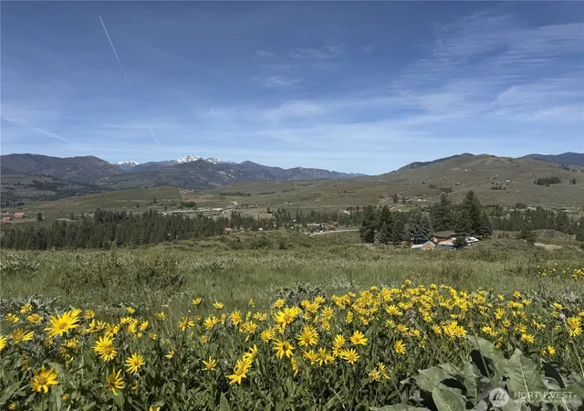 Photo 3 of Land for sale at 62 Xx Bella Vista Ln, Winthrop, WA 98862 | MLS# NWM2533063 | Listing updated on 2026-09-28