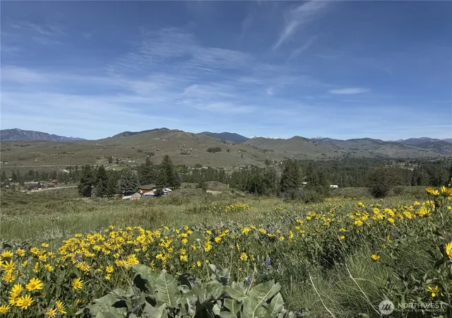 Photo 4 of Land for sale at 62 Xx Bella Vista Ln, Winthrop, WA 98862 | MLS# NWM2533063 | Listing updated on 2026-09-28