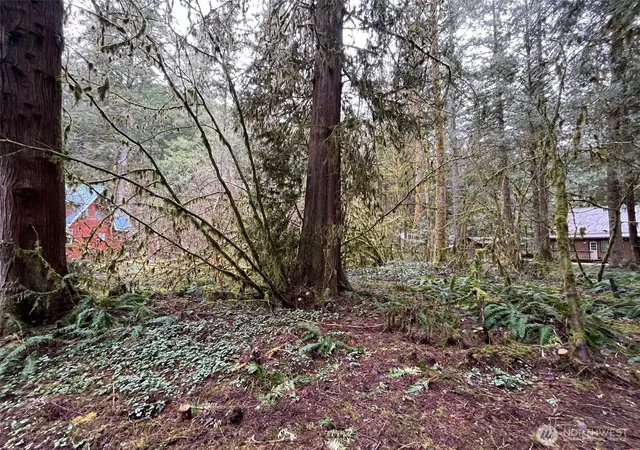 Photo 3 of Land for sale at 7138 Rainier Way, Deming, WA 98244 | MLS# NWM2533088 | Listing updated on 2026-09-21