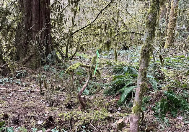 Photo 3 of Land for sale at 7138 Rainier Way, Deming, WA 98244 | MLS# NWM2533088 | Listing updated on 2026-09-21