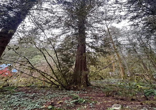 Photo 4 of Land for sale at 7138 Rainier Way, Deming, WA 98244 | MLS# NWM2533088 | Listing updated on 2026-09-21