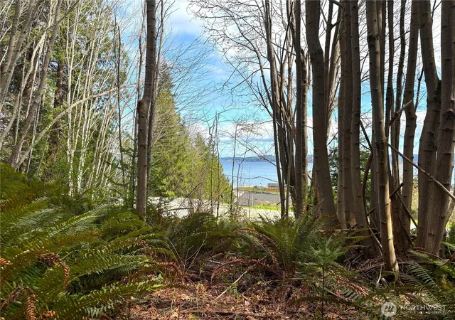 Photo 3 of Land for sale at 999 Bluejay Ln, Port Ludlow, WA 98365 | MLS# NWM2533196 | Listing updated on 2026-09-21