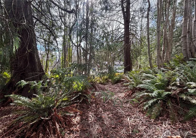 Photo 4 of Land for sale at 999 Bluejay Ln, Port Ludlow, WA 98365 | MLS# NWM2533196 | Listing updated on 2026-09-21