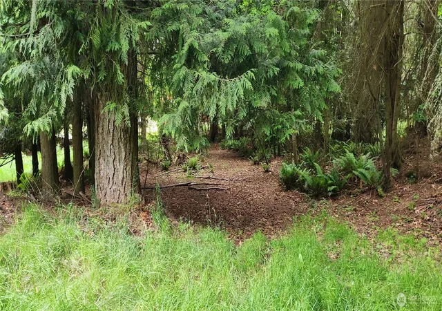 Photo 3 of Land for sale at 2536 Deer Park Rd, Port Angeles, WA 98362 | MLS# NWM2533244 | Listing updated on 2026-09-21