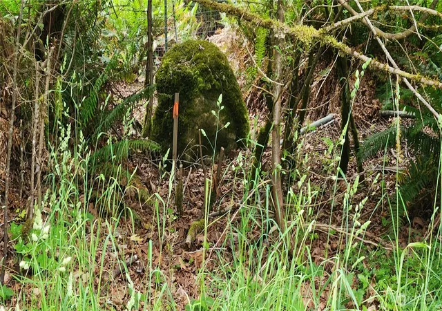 Photo 3 of Land for sale at 2536 Deer Park Rd, Port Angeles, WA 98362 | MLS# NWM2533244 | Listing updated on 2026-09-21