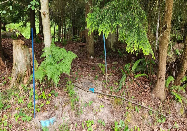 Photo 4 of Land for sale at 2536 Deer Park Rd, Port Angeles, WA 98362 | MLS# NWM2533244 | Listing updated on 2026-09-21