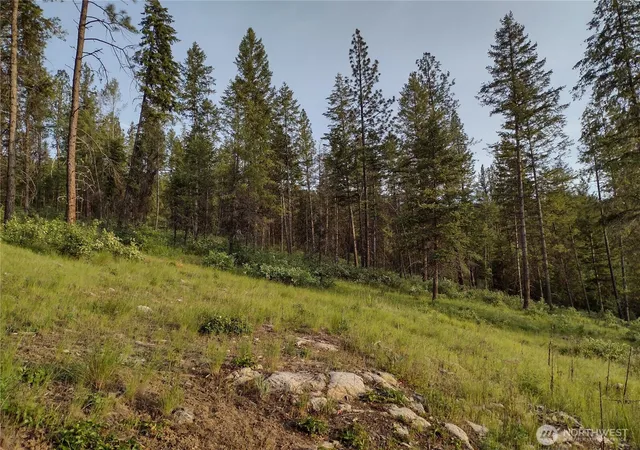 Photo 3 of Manufactured home for sale at 39 Leonard Ln, Curlew, WA 99118 | MLS# NWM2533305 | Listing updated on 2026-09-21