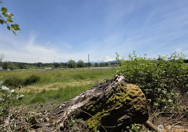 Photo 3 of Sale Pending at 14717 168th Street E, Orting, WA 98360 | MLS# NWM2533387 | Listing updated on 2026-09-17