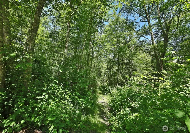 Photo 3 of Land for sale at 0 Xxxx Goss Ridge Rd, Freeland, WA 98249 | MLS# NWM2533472 | Listing updated on 2026-09-21