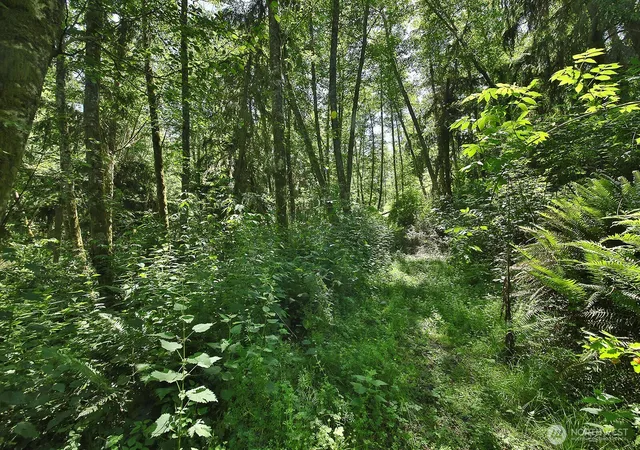 Photo 3 of Land for sale at 0 Xxxx Goss Ridge Rd, Freeland, WA 98249 | MLS# NWM2533472 | Listing updated on 2026-09-21