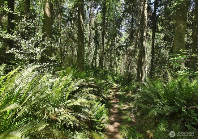 Photo 4 of Land for sale at 0 Xxxx Goss Ridge Rd, Freeland, WA 98249 | MLS# NWM2533472 | Listing updated on 2026-09-21