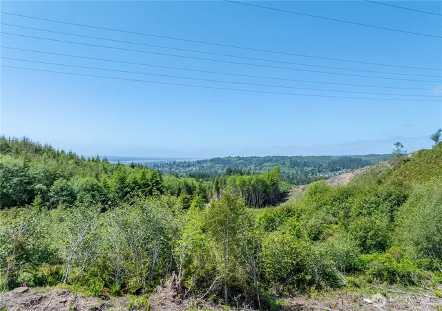Photo 3 of Land for sale at 50 E Wishkah Rd, Aberdeen, WA 98520 | MLS# NWM2533649 | Listing updated on 2026-09-21