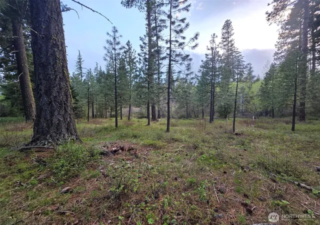 Photo 1 of Land for sale at 15 Lot Old Grv Trl, Cle Elum, WA 98922 | MLS# NWM2533763 | Listing updated on 2026-09-21