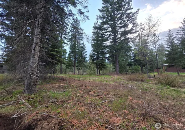 Photo 3 of Land for sale at 15 Lot Old Grv Trl, Cle Elum, WA 98922 | MLS# NWM2533763 | Listing updated on 2026-09-21