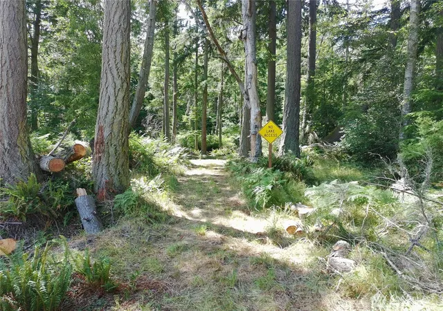 Photo 1 of Land for sale at 737 Twin View Dr, Greenbank, WA 98253 | MLS# NWM2533790 | Listing updated on 2026-09-21
