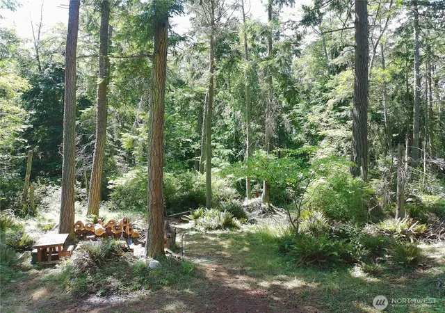 Photo 3 of Land for sale at 737 Twin View Dr, Greenbank, WA 98253 | MLS# NWM2533790 | Listing updated on 2026-09-21