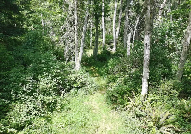 Photo 3 of Land for sale at 737 Twin View Dr, Greenbank, WA 98253 | MLS# NWM2533790 | Listing updated on 2026-09-21