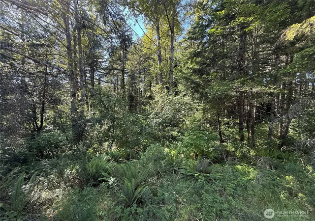 Land for sale at 155 Xx 62nd Ave NW, Gig Harbor, WA 98332 | MLS# NWM2534105