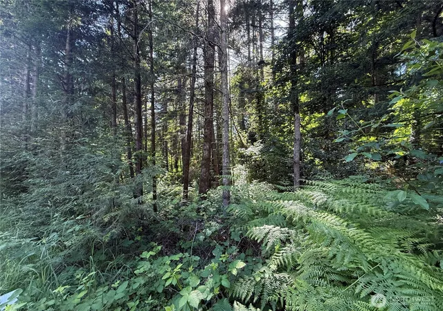 Photo 3 of Land for sale at 155 Xx 62nd Ave Nw, Gig Harbor, WA 98332 | MLS# NWM2534105 | Listing updated on 2026-09-22