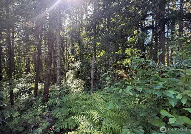 Photo 3 of Land for sale at 155 Xx 62nd Ave NW, Gig Harbor, WA 98332 | MLS# NWM2534105 | Listing updated on 2026-09-22