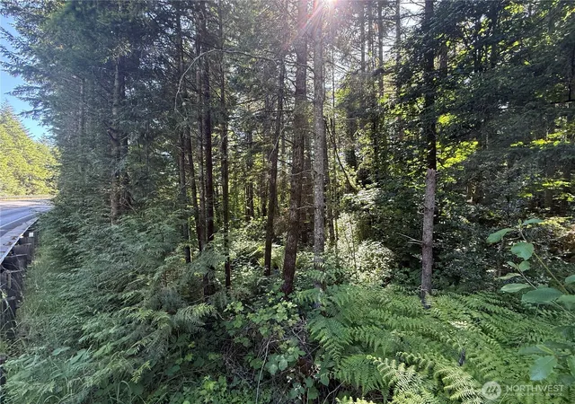 Photo 4 of Land for sale at 155 Xx 62nd Ave NW, Gig Harbor, WA 98332 | MLS# NWM2534105 | Listing updated on 2026-09-22