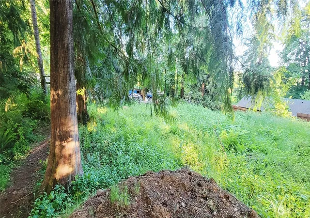 Photo 2 of Land for sale at 1810 Mason St, Shelton, WA 98584 | MLS# NWM2534145 | Listing updated on 2026-09-22