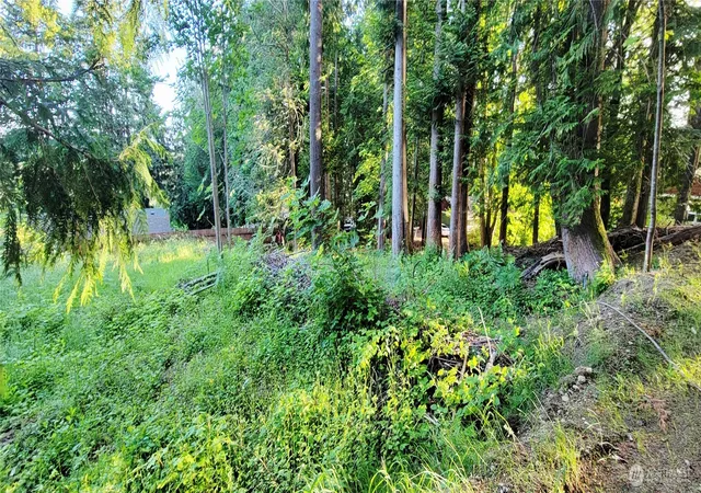 Photo 3 of Land for sale at 1810 Mason St, Shelton, WA 98584 | MLS# NWM2534145 | Listing updated on 2026-09-22