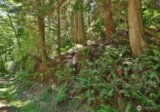Photo 3 of Sale Pending at 0 Xxx George Dr, Clinton, WA 98236 | MLS# NWM2534201 | Listing updated on 2026-10-01